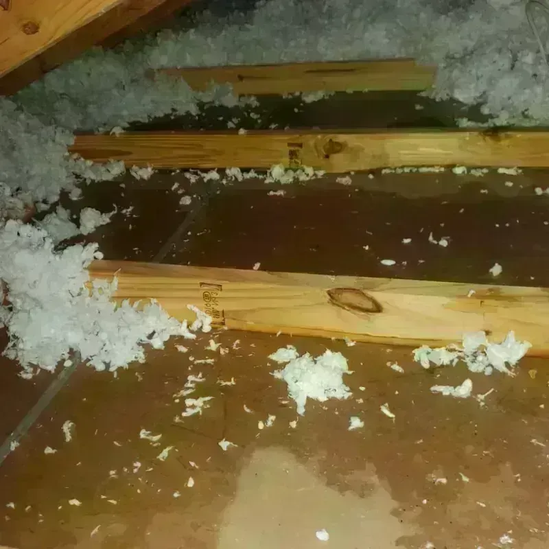 Attic Water Damage in Graham County, NC