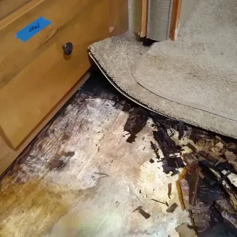 Wood Floor Water Damage in Graham County, NC